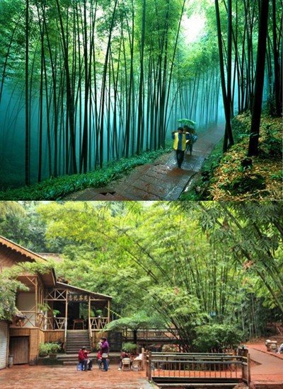 Malaysia Chengdu Shunan Bamboo Sea Emei Jiuzhaigou Tour