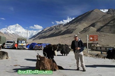 Netherland Lhasa Shigatse Everest Base Camp Sakya Tour