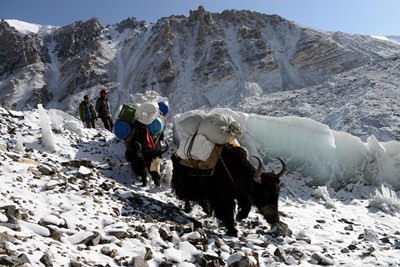 Thailand Tingri to Everest Base Camp Trekking Tour