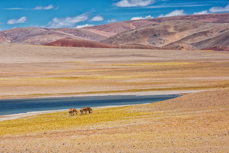 stunning view of Ngari, Tibet