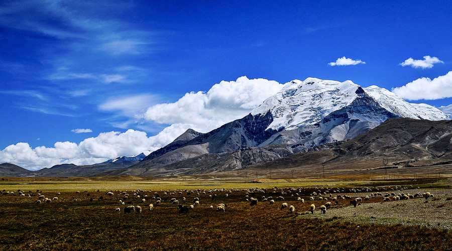 Pasture in Tibet 