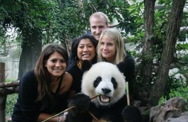 Enjoy the Chengdu panda tour and Tibet nature
                                scenery in one tour package.
