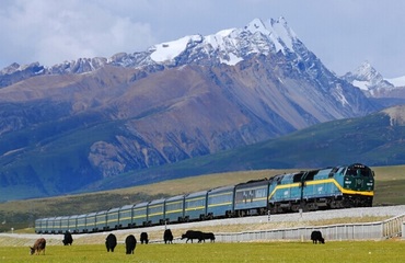If you get on the train from Xi'ning to Lhasa,
                                you will view the most essential scenery of
                                Qinghai-Tibet Plateau, just like watching a
                                Blockbuster Movie!