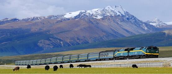 If you get on the train from Xi'ning to
                                Lhasa, you will view the most essential scenery
                                of Qinghai-Tibet Plateau, just like watching a
                                Blockbuster Movie!