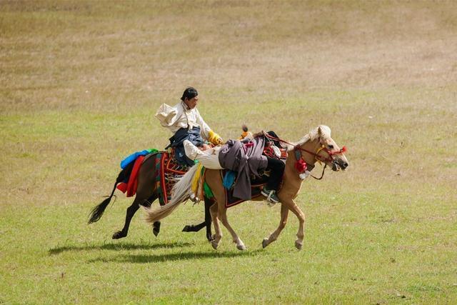 Horse Racing Festival in Nagchu in August.