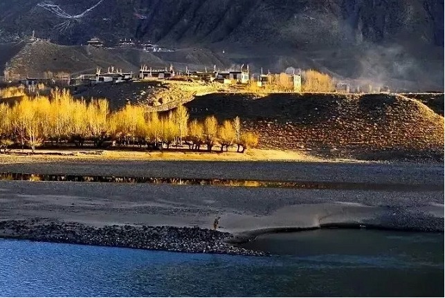Enjoy the Golden Fall in Chamdo, Tibet.