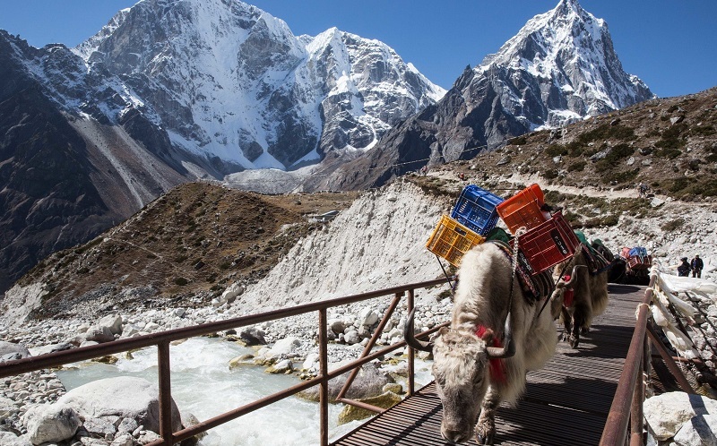 The Everest Base Camp Trek