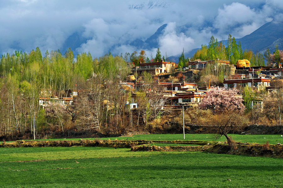 Idyllic scenery of Shannan in May.