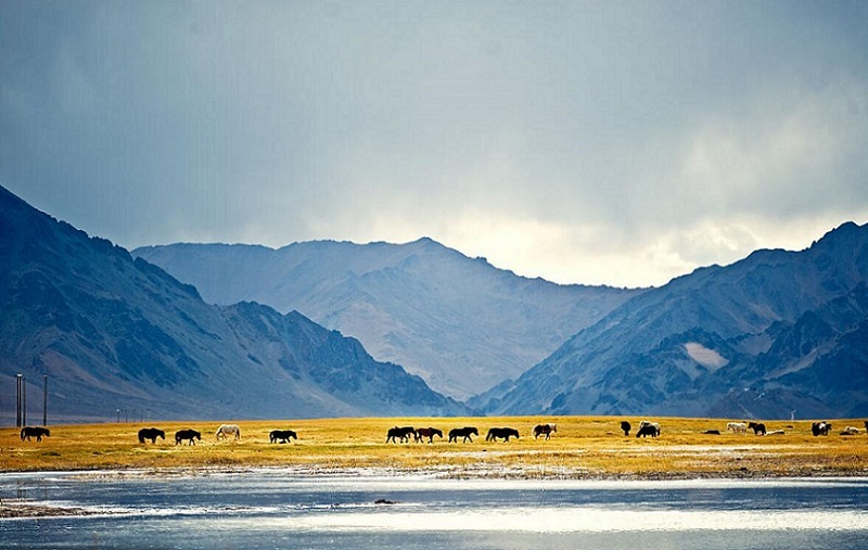 Scenery in Ngari, the most Tibetan area in Tibet.