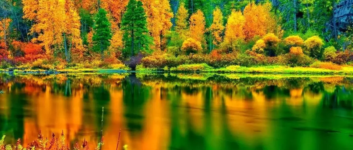 Colorful reflections