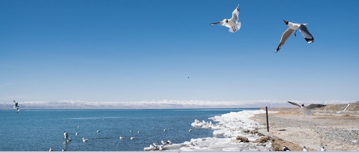 Qinghai lake