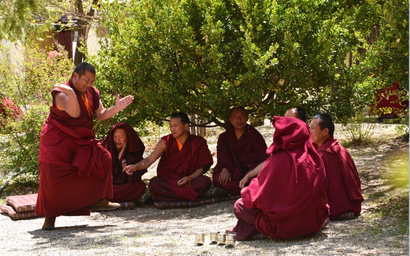 Sera Monastery is a famous for its Buddhist debate.
