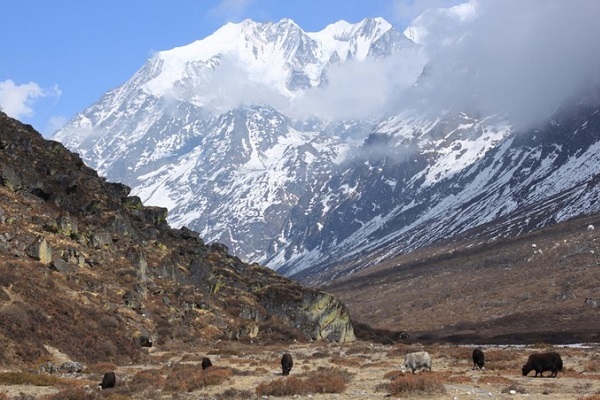 langtang trek