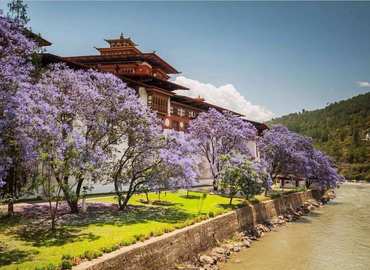 Punakha Dzong