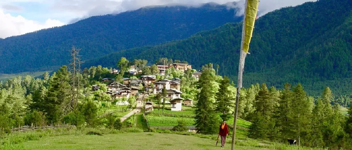 Overlook from Gangtey Monastery