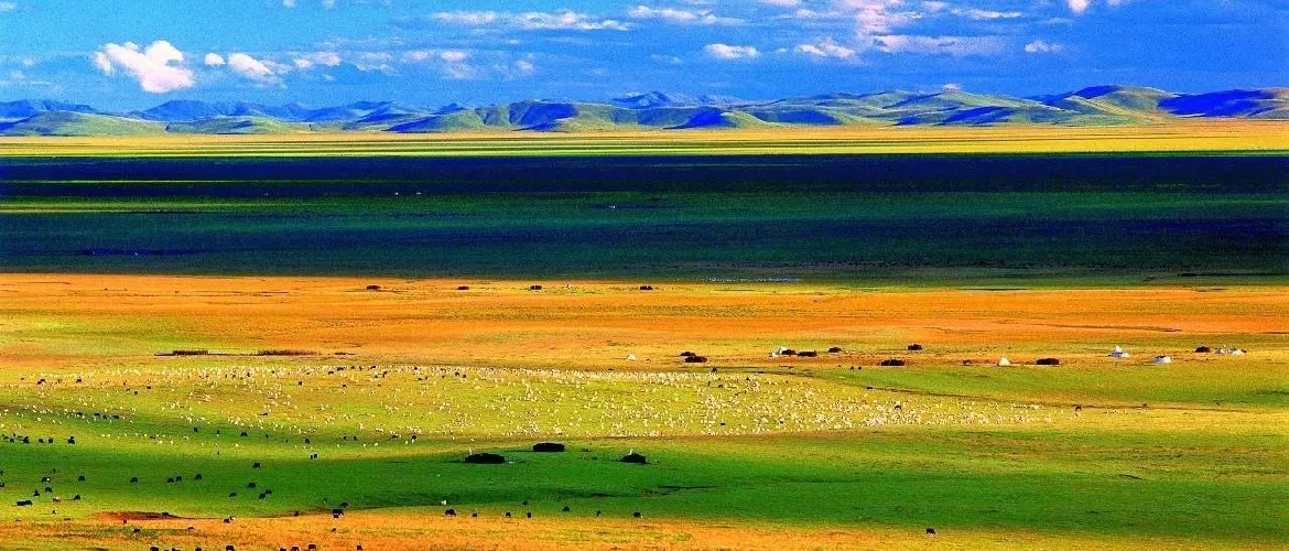 Qiangtang Prairie