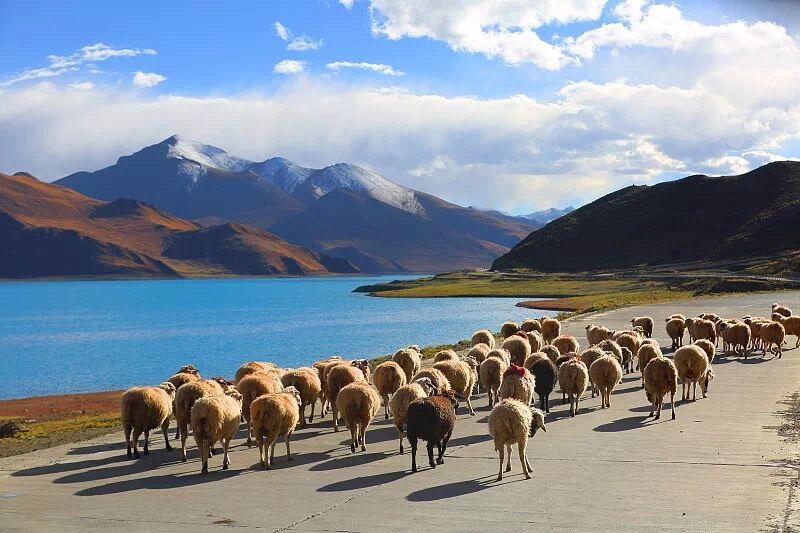 Tibet plateau scenery