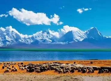 How to plan a trip to Tibet?
