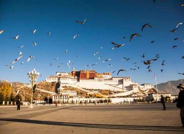 Land mark of Lhasa city - Potala Palace