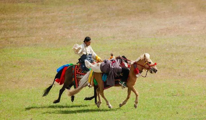 horse racing