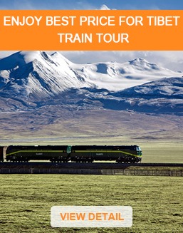 Tibet train tour