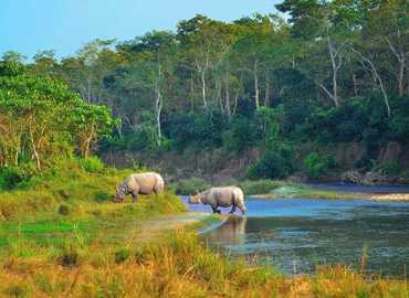 Chitwan National Park