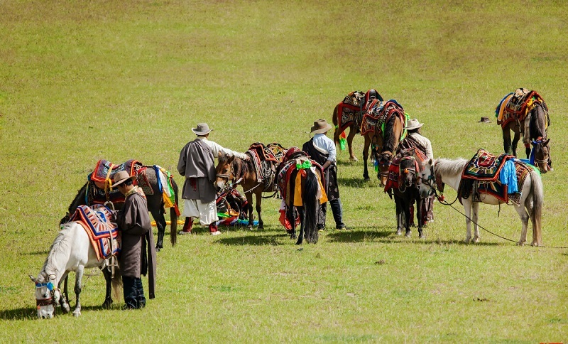Nagqu horse racing festival