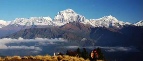 View Himalayans 