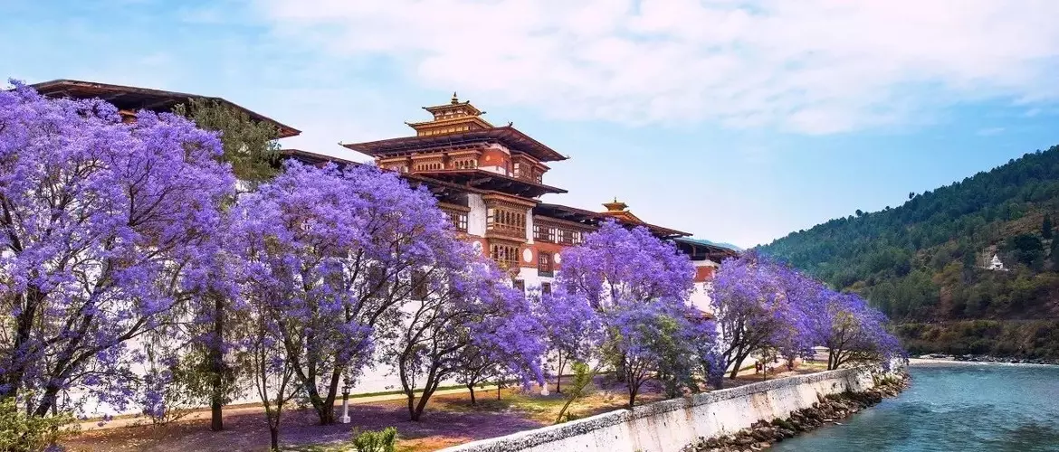 Punakha Dzong is the most beautiful Dzong in Bhutan.