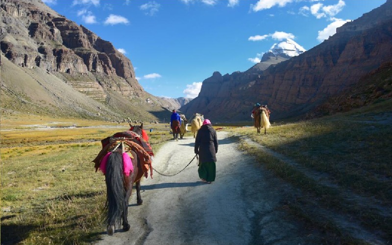 Mt Kailash trek