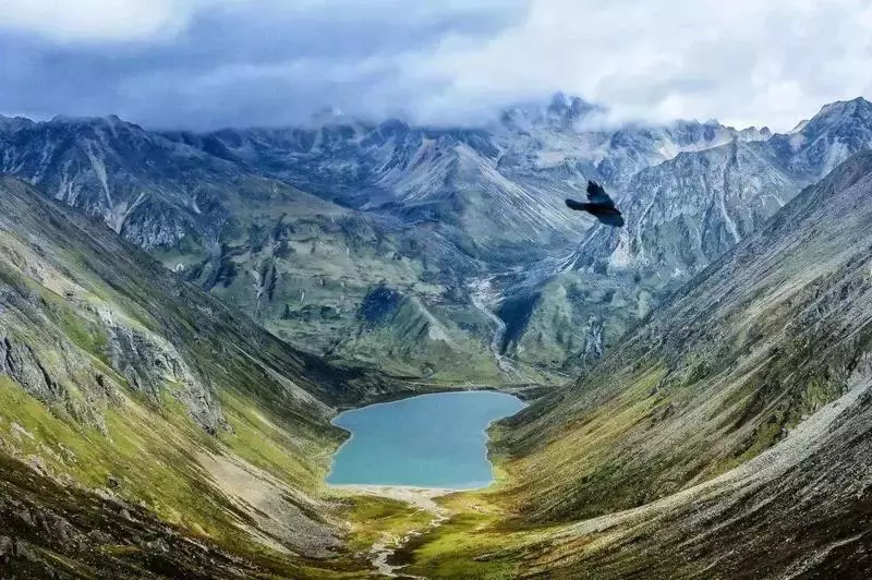 lhamo latso