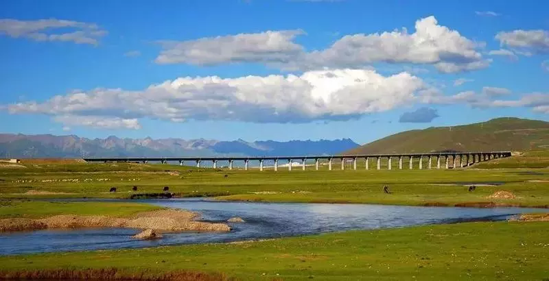Qinghai Tibet Train