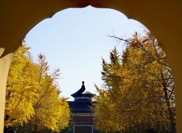 Shanghai Xi'an Tibet Beijing Tour