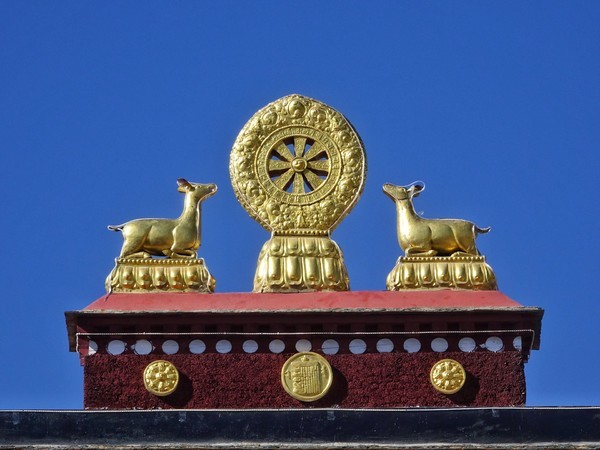 Golden Deer and Dharma Wheel