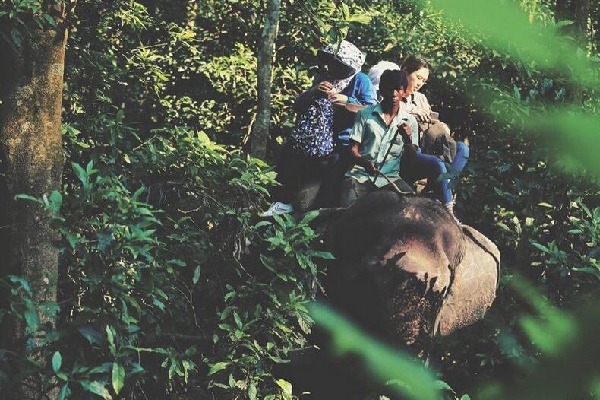 Chitwan National Park