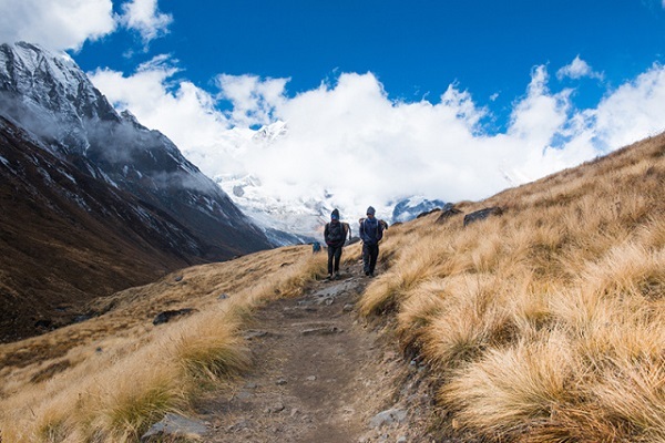 Deciduous Season in Nepal