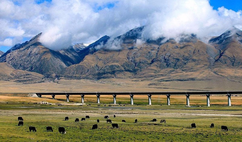Qinghai-Tibet railway