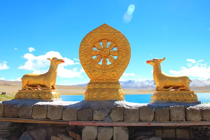 Golden Deer and Dharma Wheel