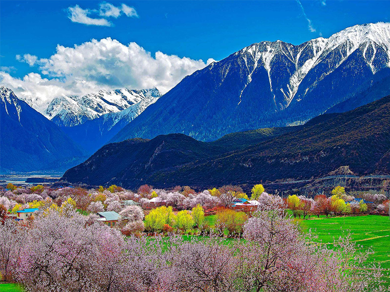 Nyingchi in spring