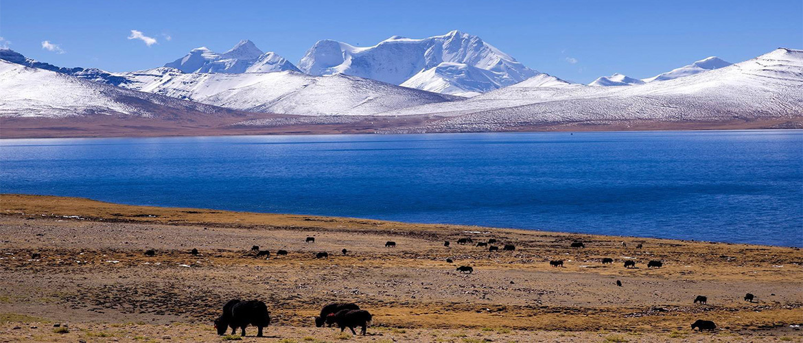 Kula Kangri Top Scenic Hiking Route in Tibet