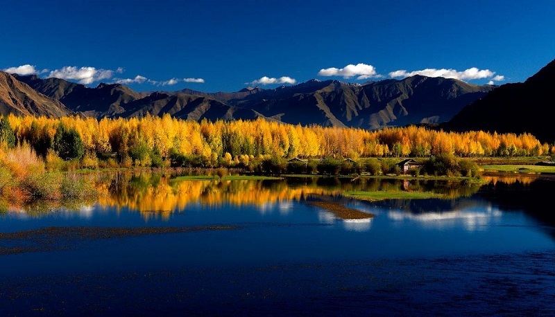 Autumn scene by Lhasa river.