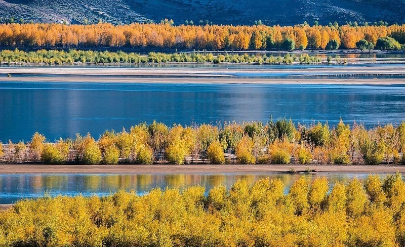 Autumn scene by Lhasa River.