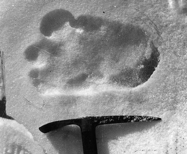 Yeti's footprints