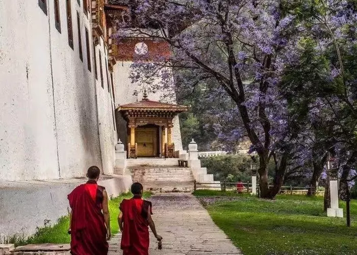 In-depth Explore of Bhutan