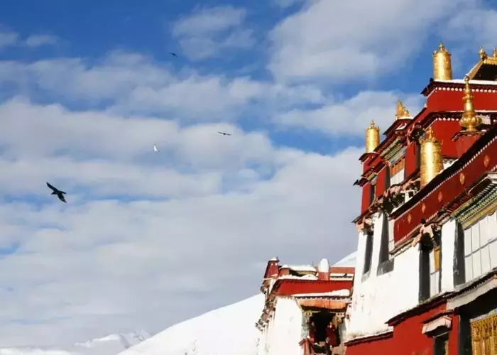 Lhasa & Drigung Til Monastery & Tidrum Nunnery Tour