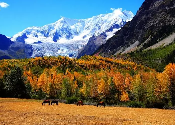 Midui Glacier in autumn