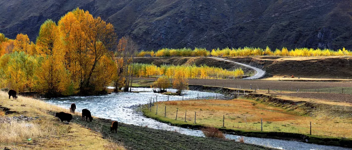 Xindu Bridge