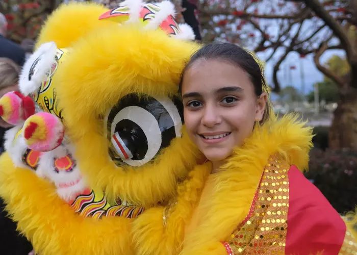 Lion Dance