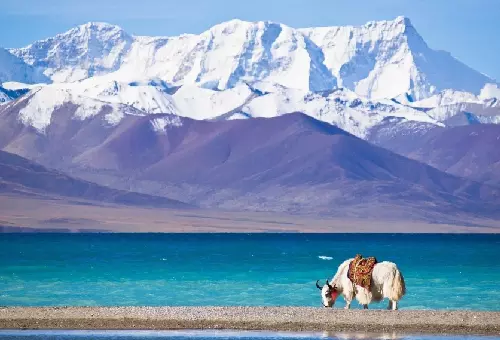 Lake Namtso