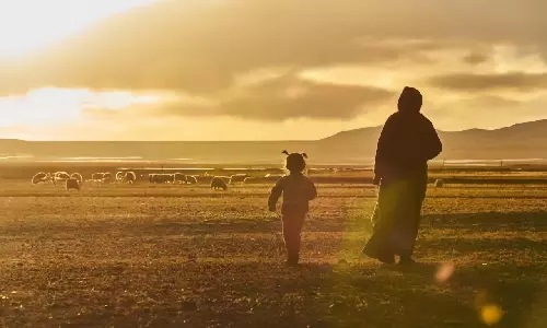 Dusk on the pasture in Nagqu